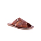 045-201-162-Camel1_1-1