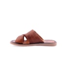 045-201-162-Camel3_1-3