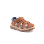 071-TED-Camel1_1-1
