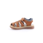 071-TED-Camel3_1-3