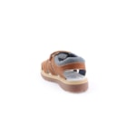071-TED-Camel4_1-4