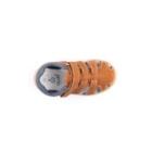 071-TED-Camel6_1-6