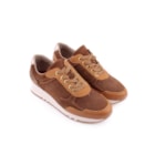 081-G531-C-Camel7_1-7