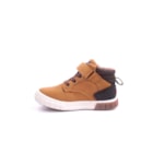 087A-2229-Camel3_1-3