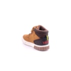 087A-2229-Camel4_1-4