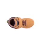 087A-2229-Camel6_1-6